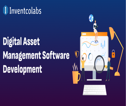 Digital Asset Management Software Development: Full Guide