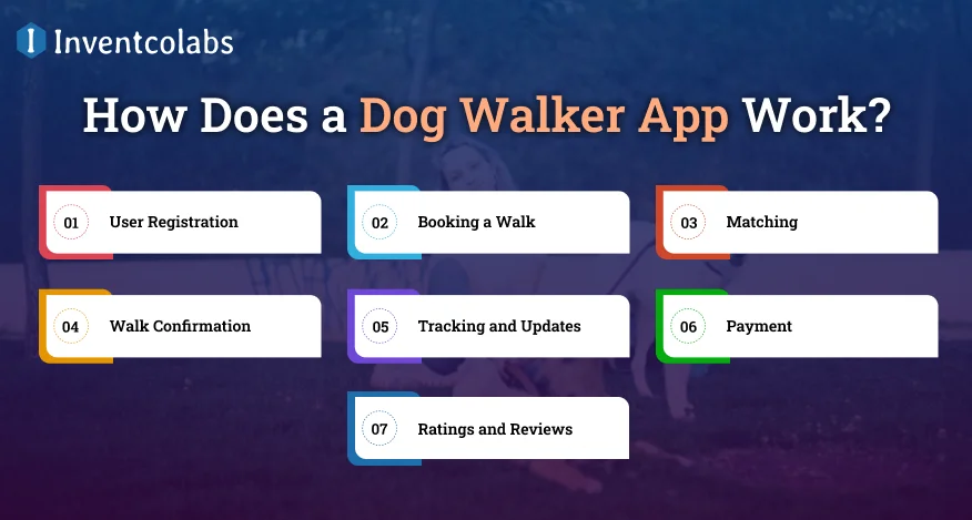 How Does a Dog Walker App Work