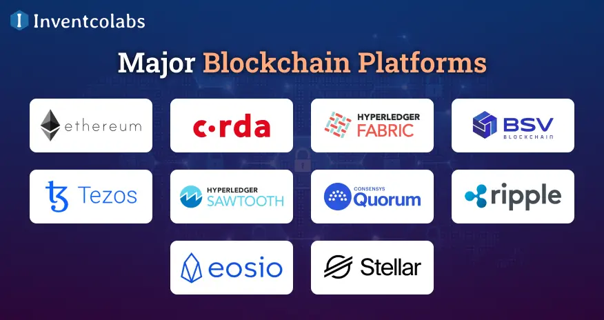 Major Blockchain Platforms