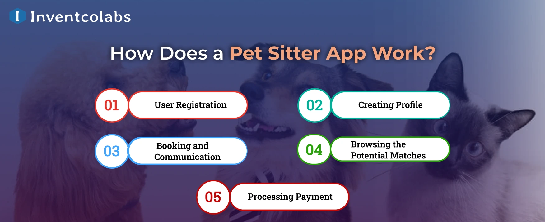 How Does a Pet Sitter App Work?