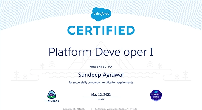 Salesforce Developer