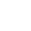 Fast Delivery Icon