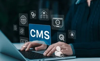 Chatbot Development